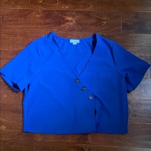 Ten Sixty Sherman Vibrant Blue Buttoned Crop Top